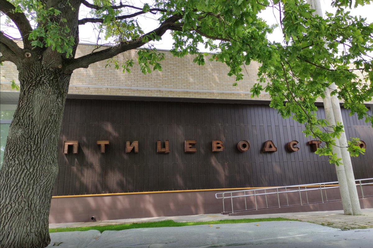 Павильон №37 Центр ассистивных технологий Феникс - Г. Москва, Проспект Мира, Д. 119, Стр. 37 3