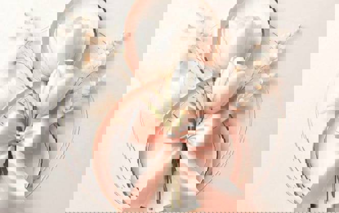 Поздравляем с 8 марта!