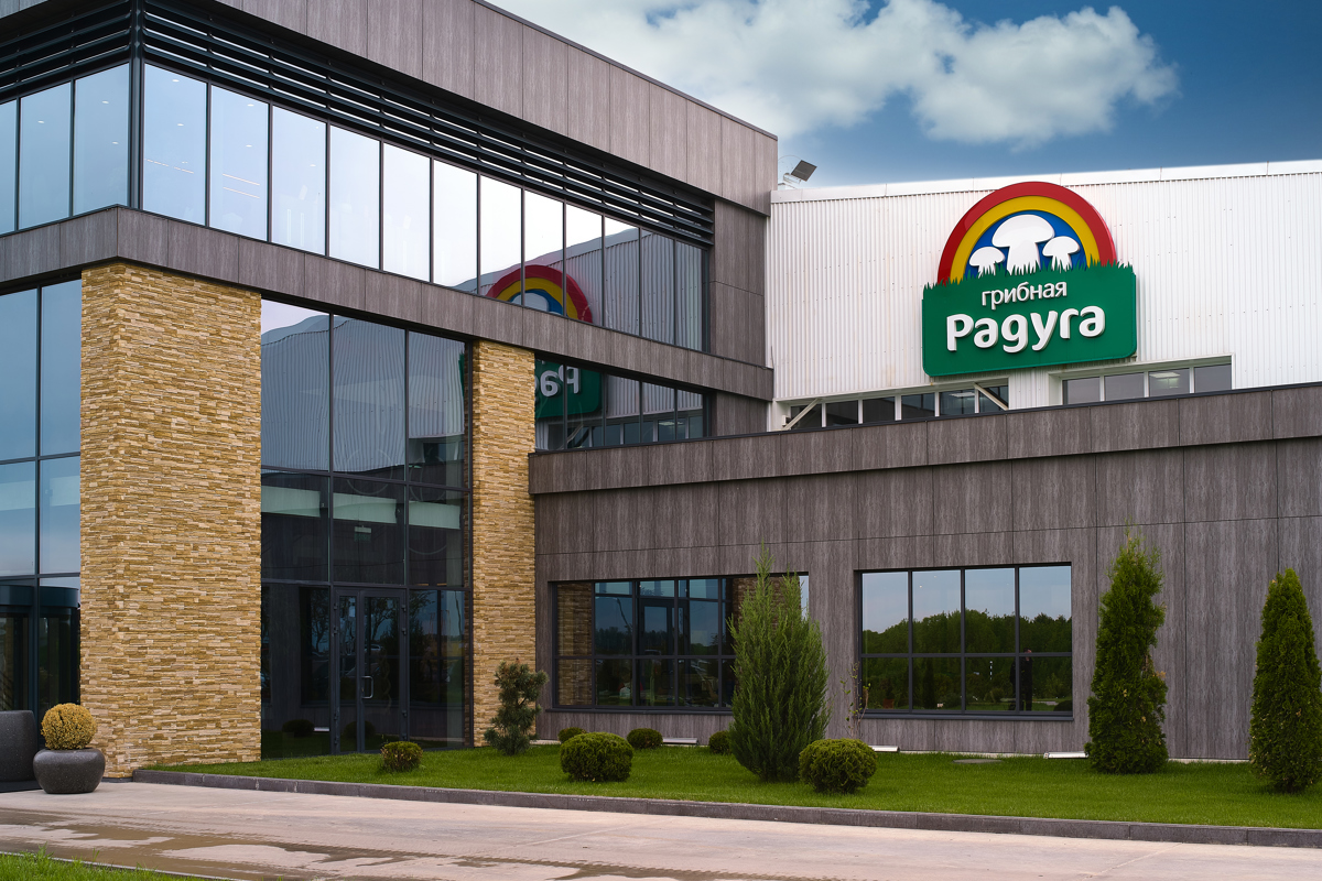 Грибная радуга - IGP7910